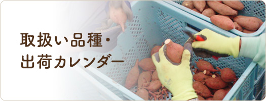 安納芋の栽培方法